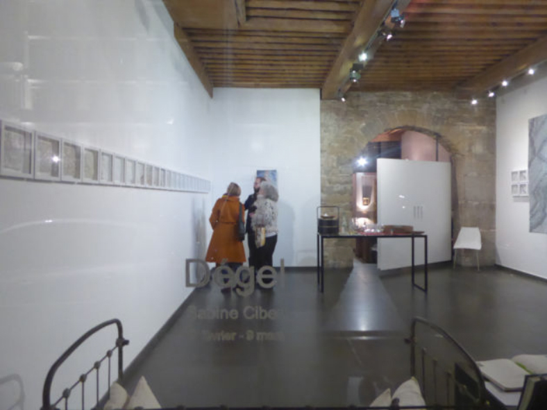Sabine Cibert - Exposition Galerie7 : Dégel - Février Mars 2023
