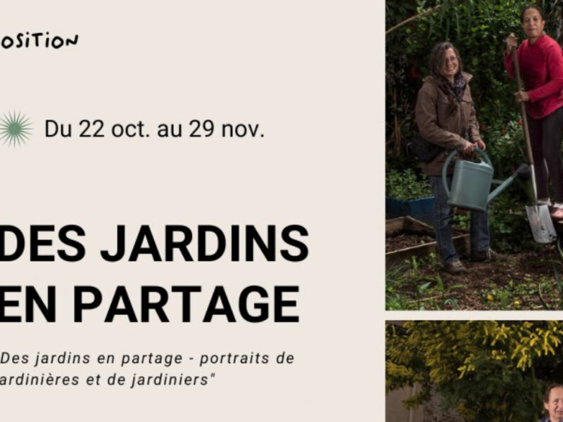 CIL Monplaisir - Exposition Philippe Merchez - MJC Monplaisir et Passe Jardins