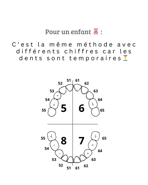 SCM Bellecour - votre dentiste vous parle en chiffres ?