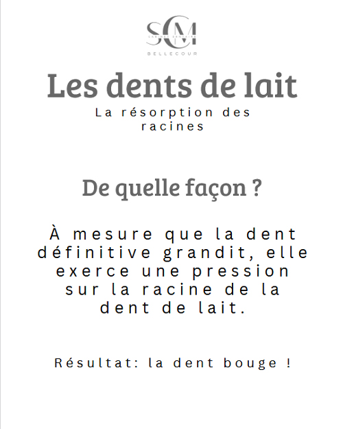 SCM Bellecour - les dents de lait : Résorption des gencives