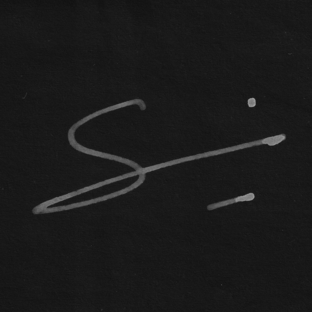 light logo
